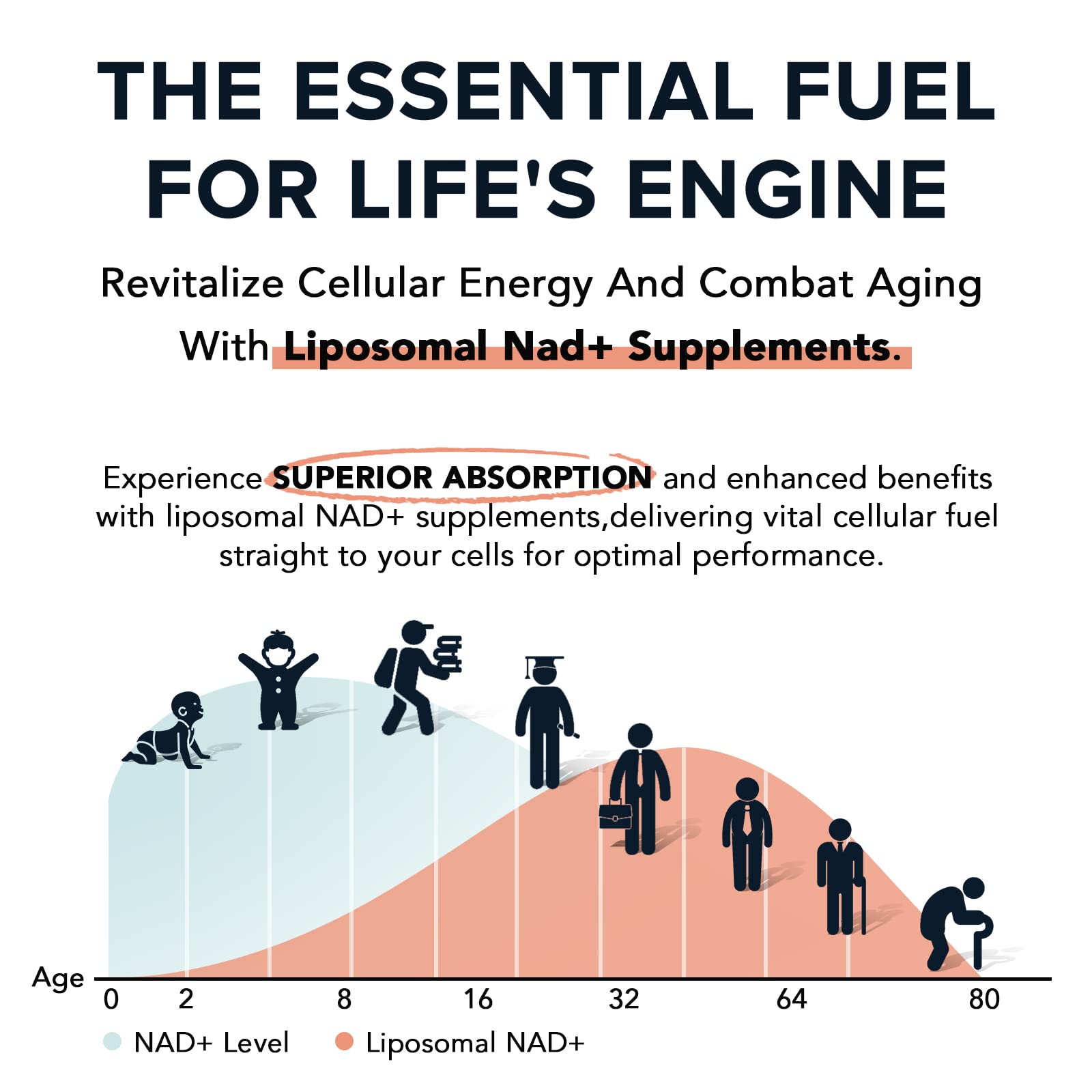 Suplemento NAD+ liposomal Fabamax 120 cápsulas para energía