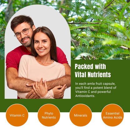 Suplemento natural amla cápsulas veganas antioxidantes
