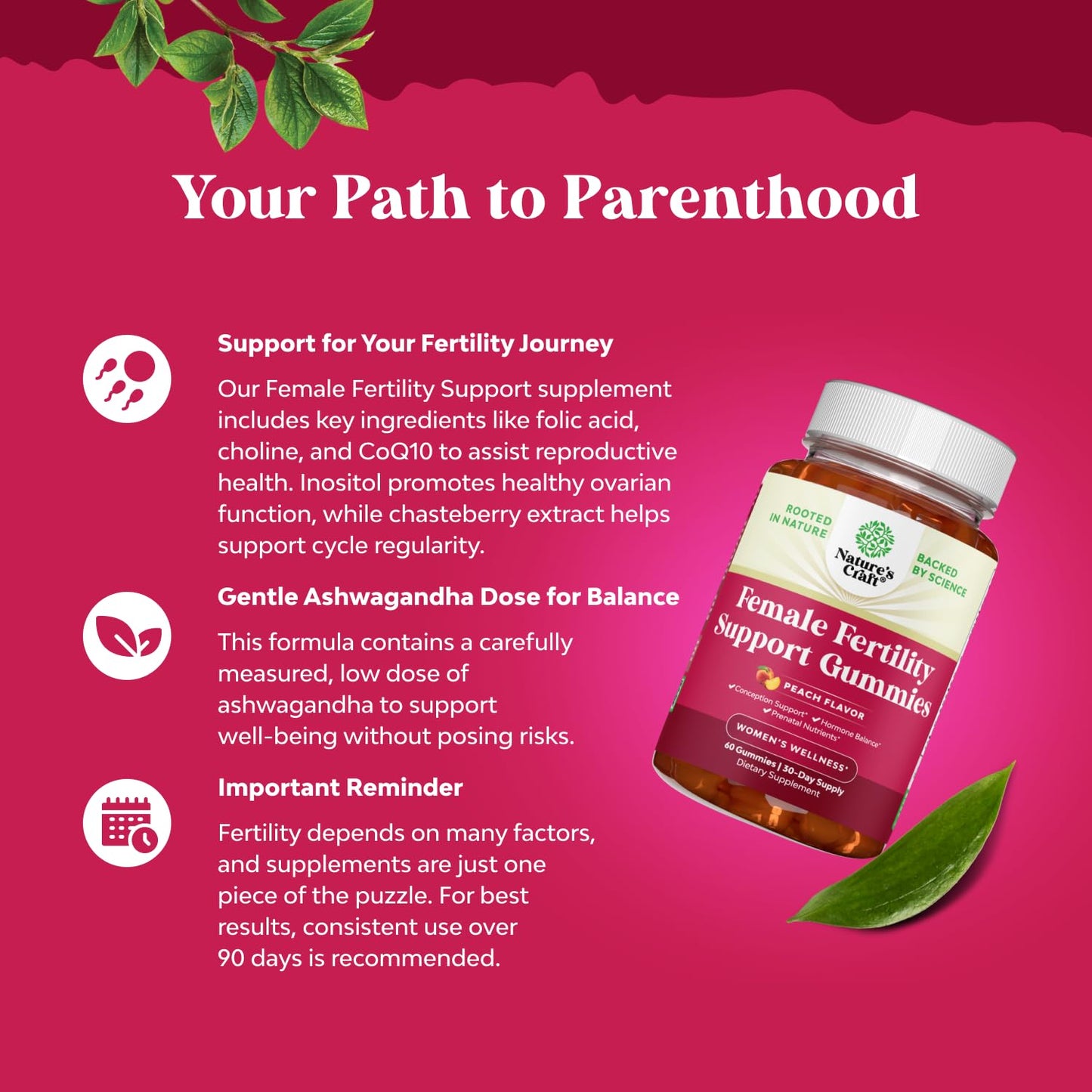 suplemento natural fertilidad con vitex y ácido folico