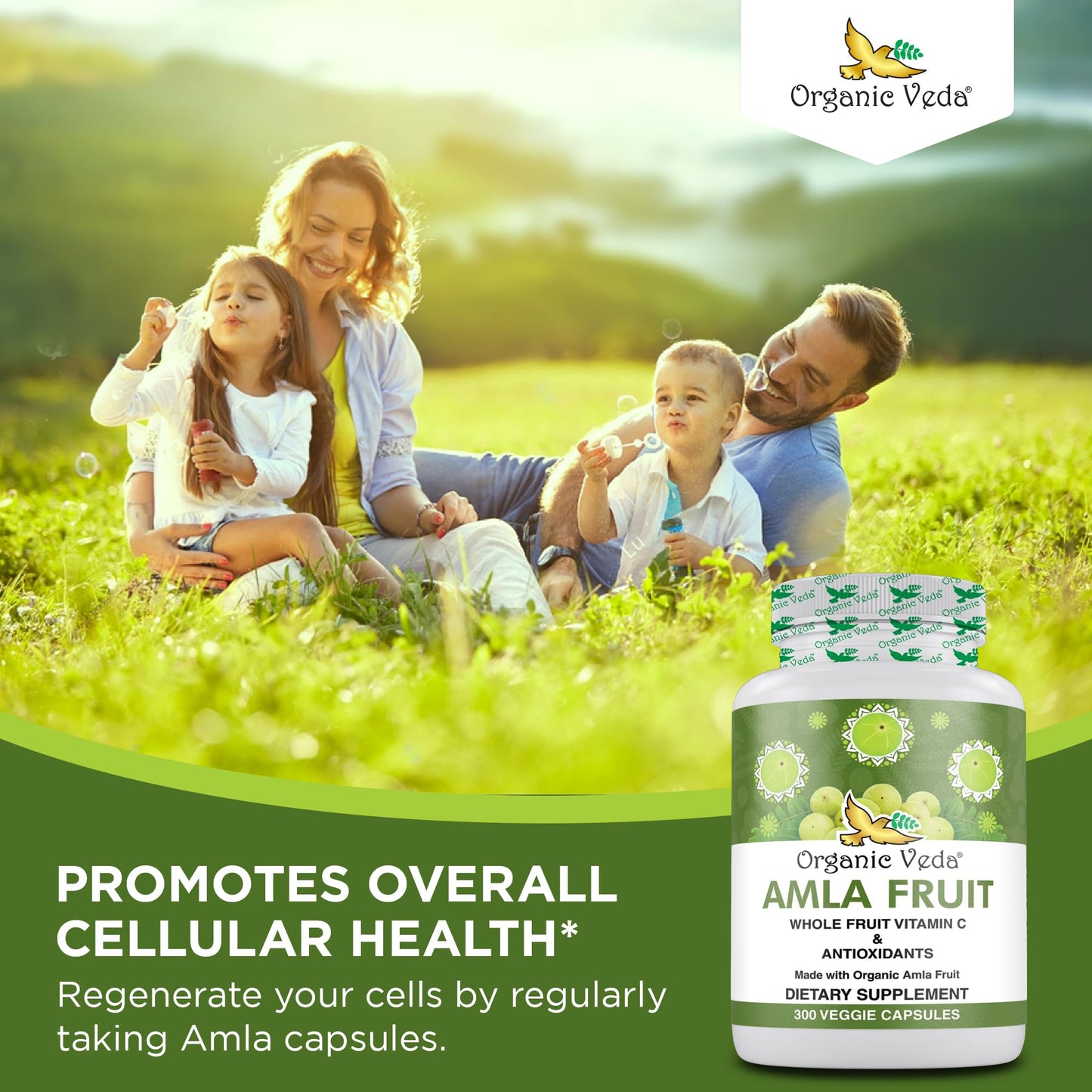 Suplemento orgánico vitamina C Amla para salud integral