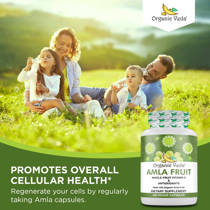 Suplemento orgánico vitamina C Amla para salud integral