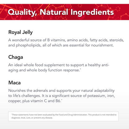 Suplemento Physician's Strength Potent-B sabor mocha natural