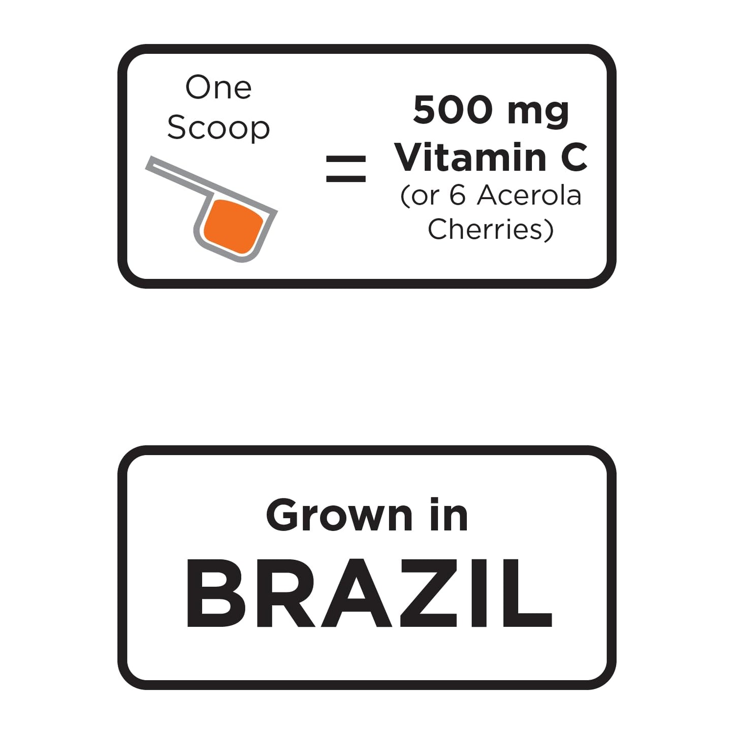 Suplemento polvo acerola organico Koyah 60 porciones