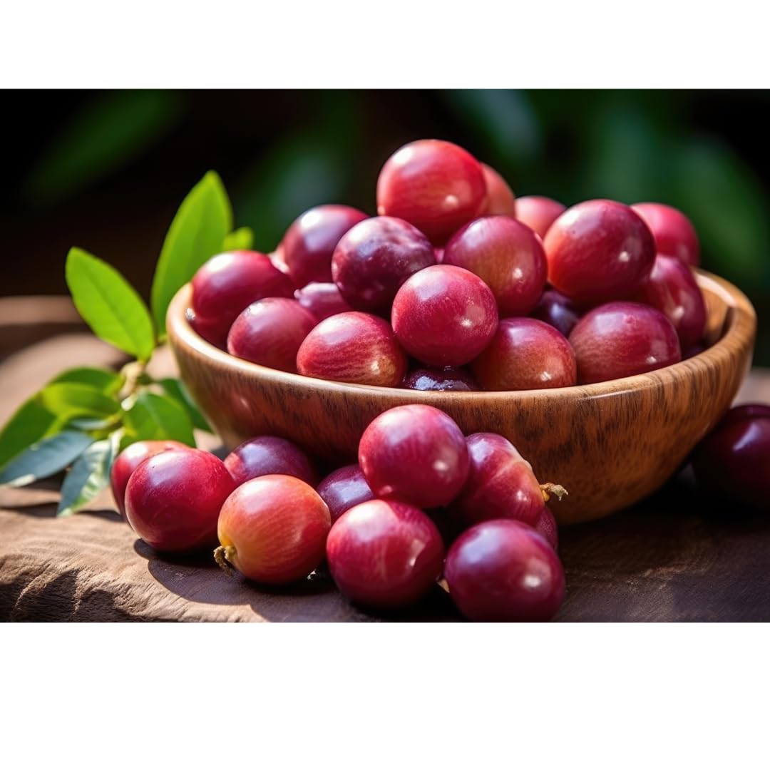 Suplemento polvo Camu Camu con antioxidantes y soporte inmunológico