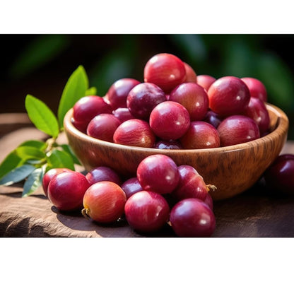 Suplemento polvo Camu Camu con antioxidantes y soporte inmunológico
