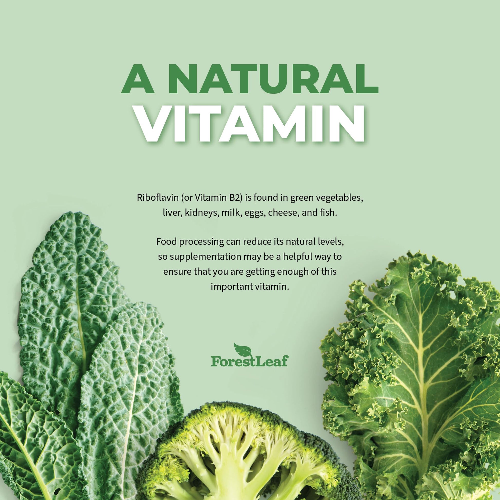 Suplemento vitamina b2 sin gluten forestleaf usa