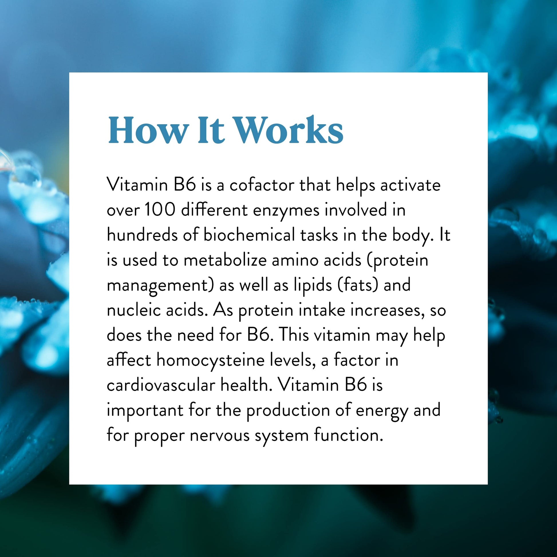 Suplemento de vitamina B6 Nature's Sunshine