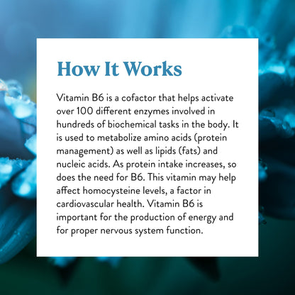Suplemento de vitamina B6 Nature's Sunshine