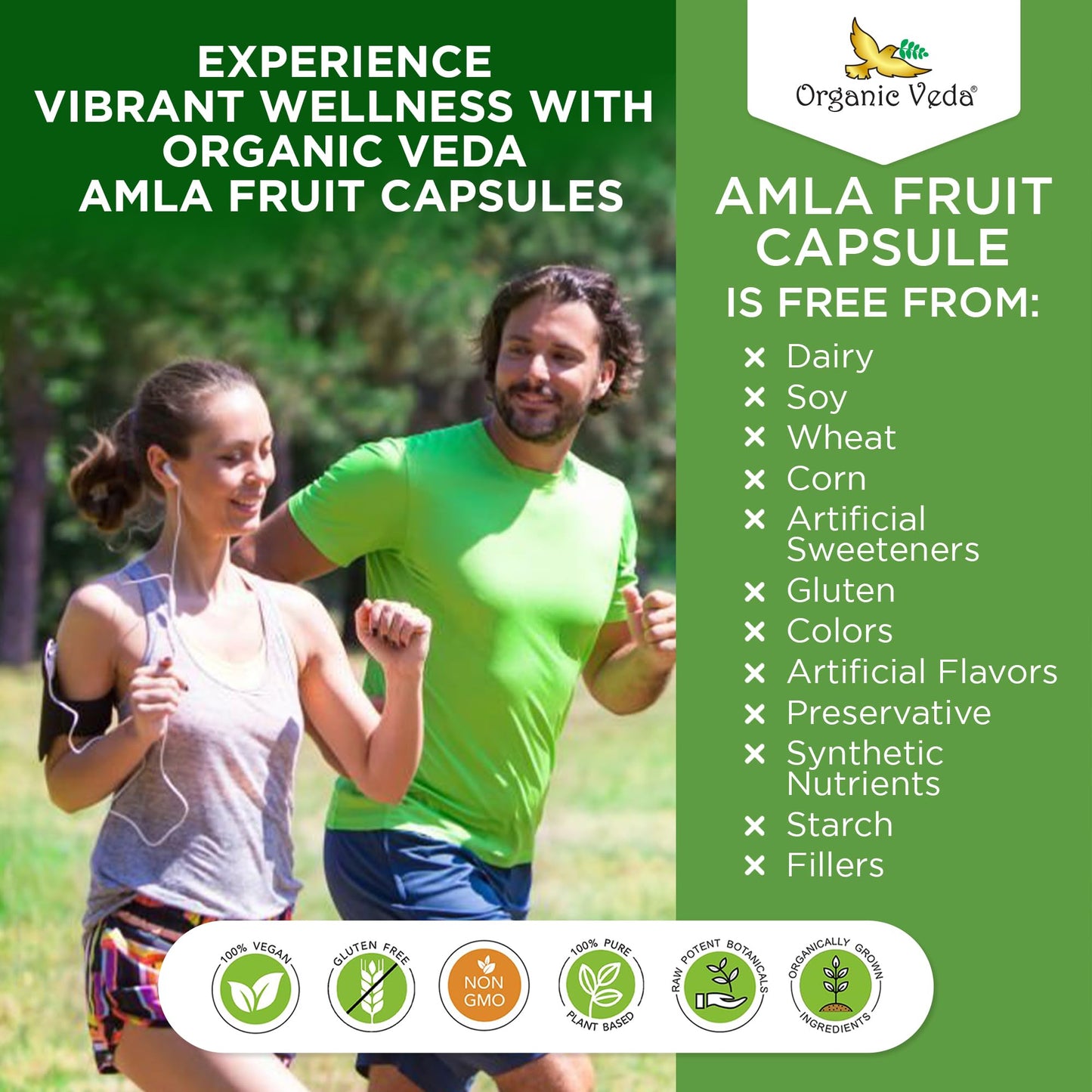 Suplemento de vitamina C Amla sin aditivos artificiales