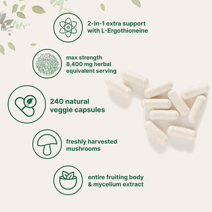 Suplemento vitamínico protección antioxidante y salud ósea