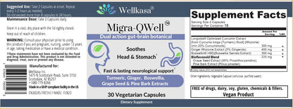 Suplementos naturales para salud cerebral e intestinal