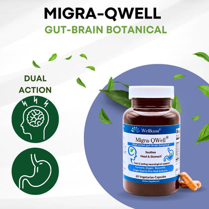 Suplementos para salud cerebral y apoyo nervioso