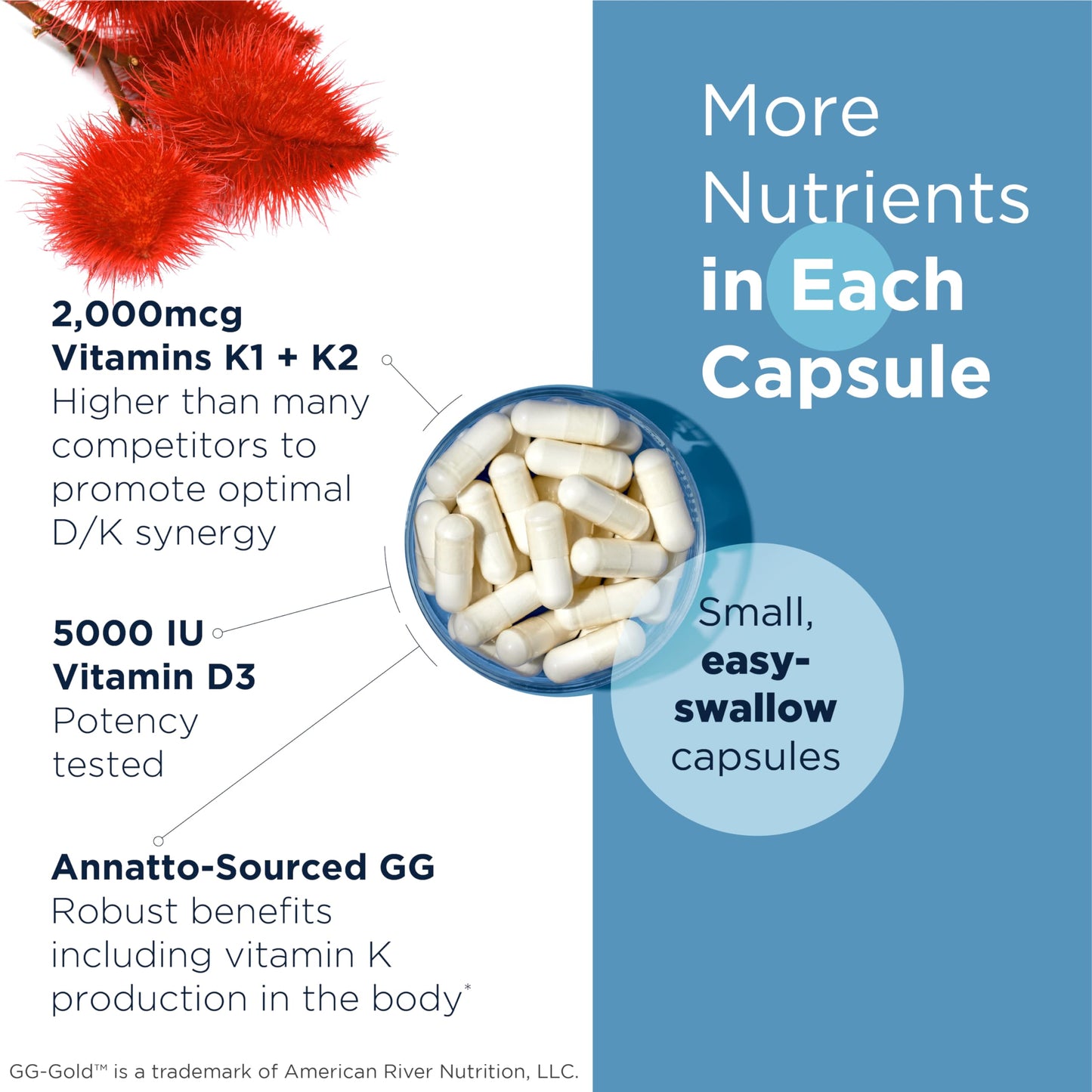 Supletabletas Designs for Health vitamina d supreme