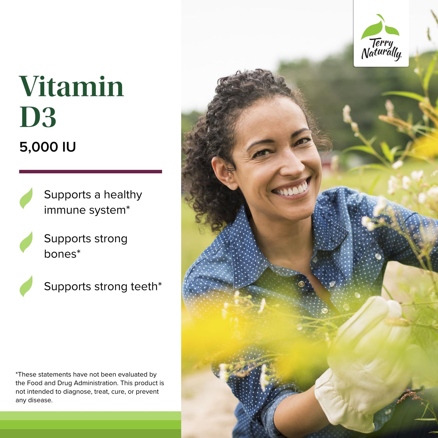 Tabletas masticables vitamina d3 terry naturally 90 unidades