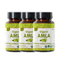 Tabletas orgánicas amla Organic Spree paquete 3 envases