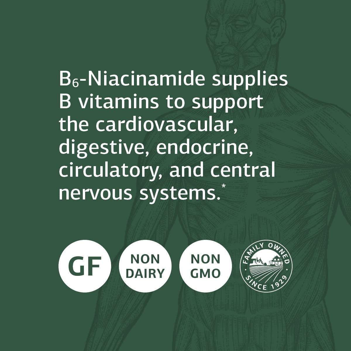 Tabletas Standard Process para salud cardiaca y digestiva