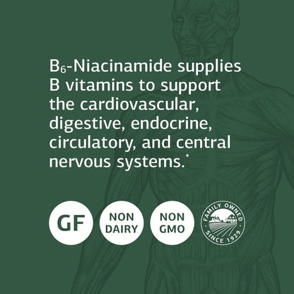 Tabletas Standard Process para salud cardiaca y digestiva