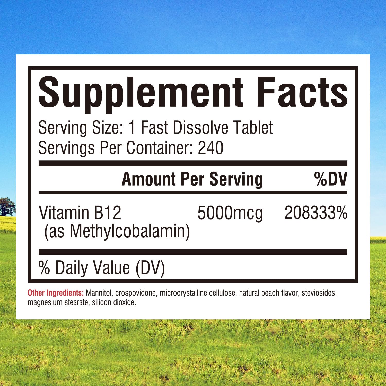 Tabletas vitamina b12 5000mcg metilcobalamina vegano