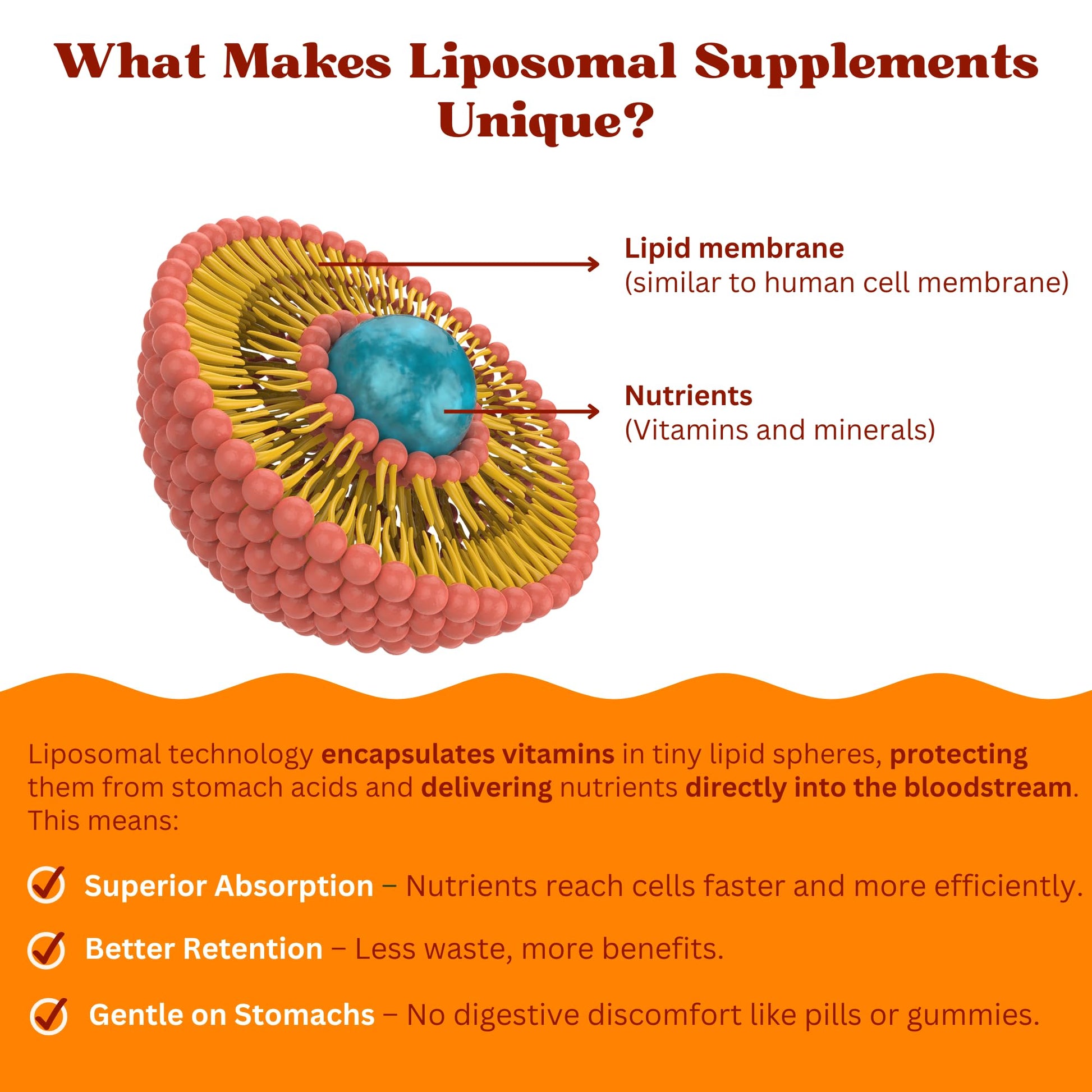 Tecnología liposomal del multivitamínico.