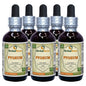 Botellas de tinctura líquida de pygeum cereza africana orgánica di usual 5 x 60 ml