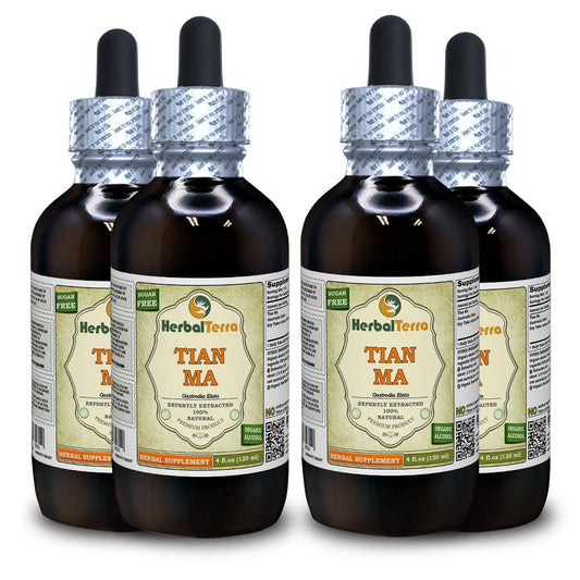Botellas tintura de Tian Ma Gastrodia HerbalTerra