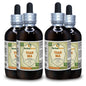 Botellas tintura de Tian Ma Gastrodia HerbalTerra