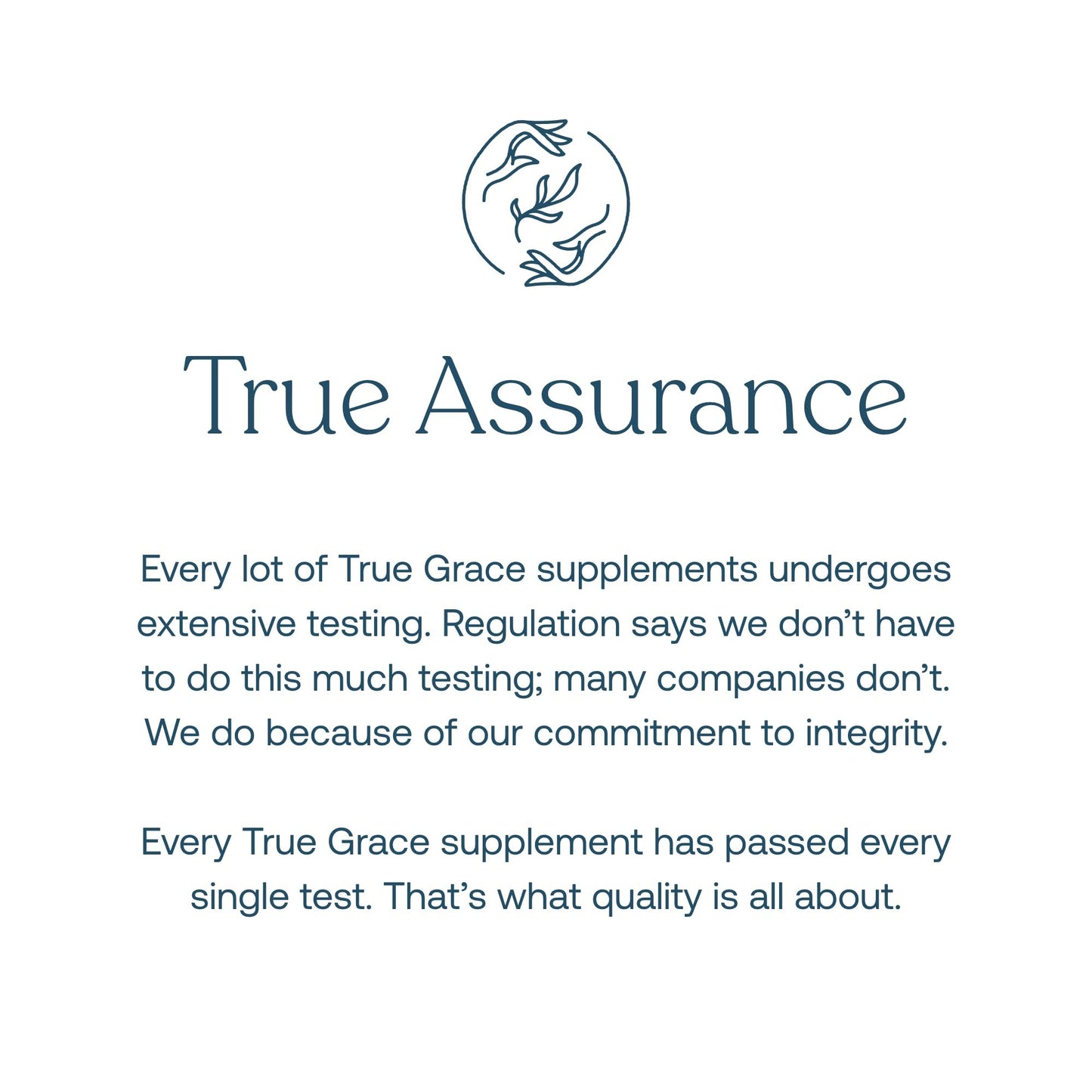 Extracto de hongos y salud cerebral en True Grace.