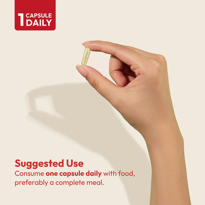 uso sugerido multivitamina Andrew Lessman Essential-1