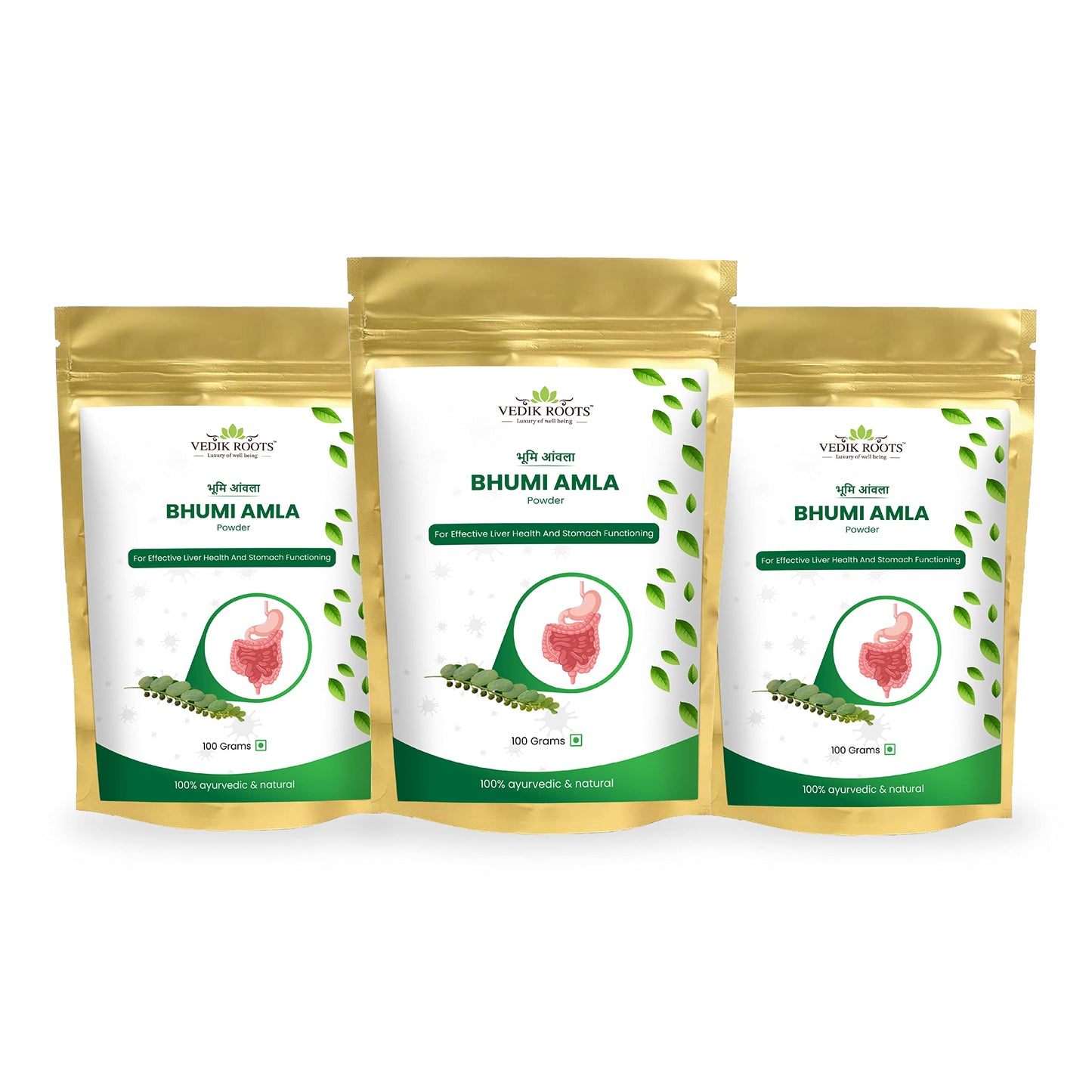 Paquete de polvo Bhumi Amla orgánico Vedikroots antioxidante
