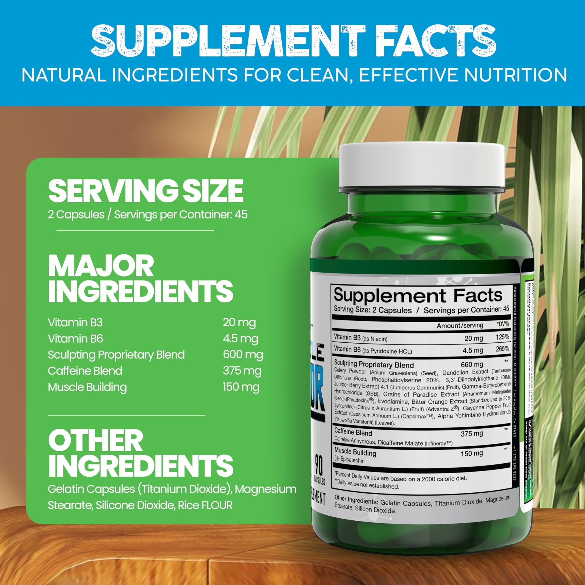 envase suplemento vital alchemy the muscle sculptor