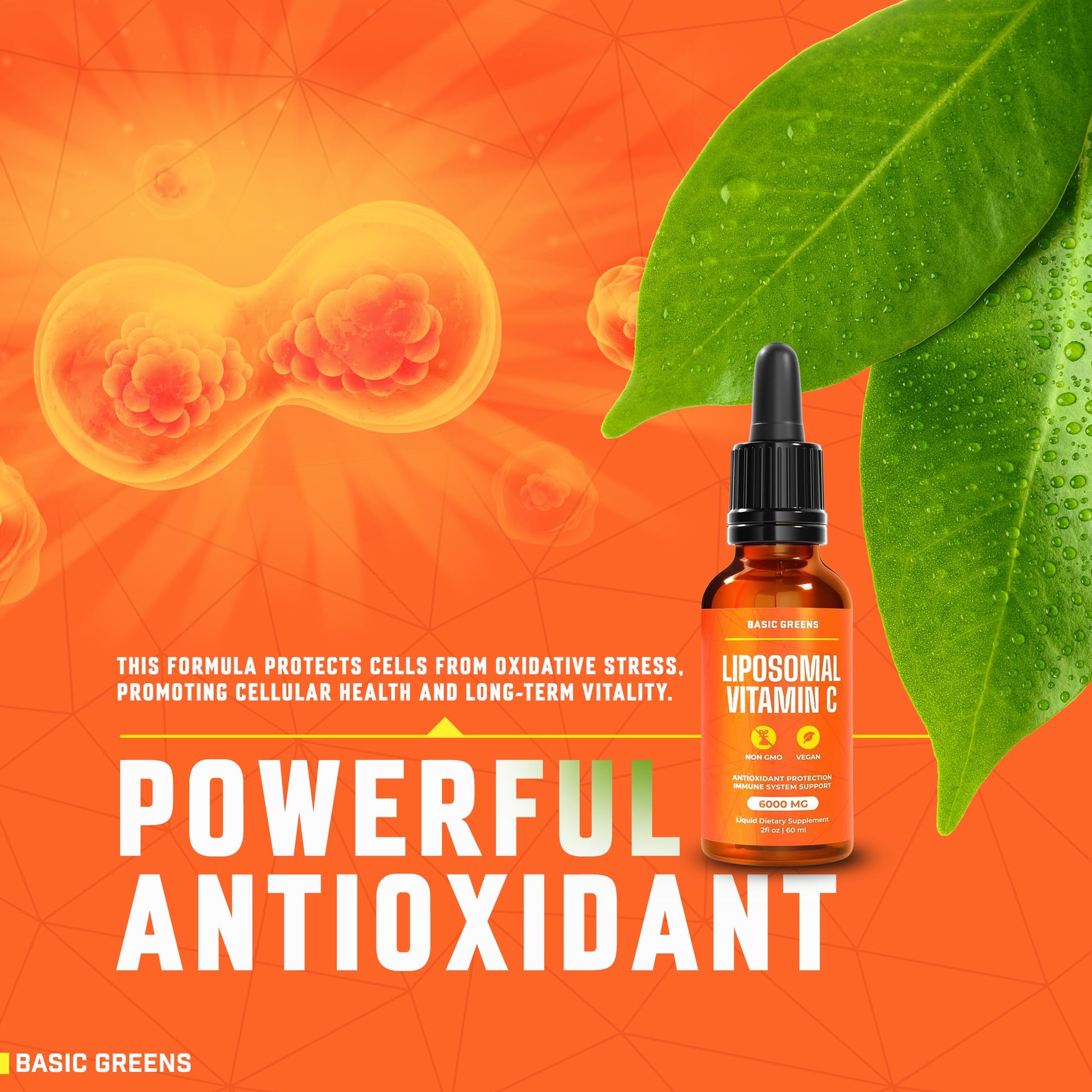 Vitamina C liposomal de alta absorción