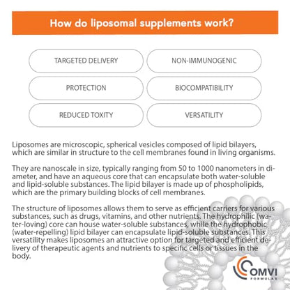 Vitamina c liposomal Omvi 1000mg frasco cápsulas
