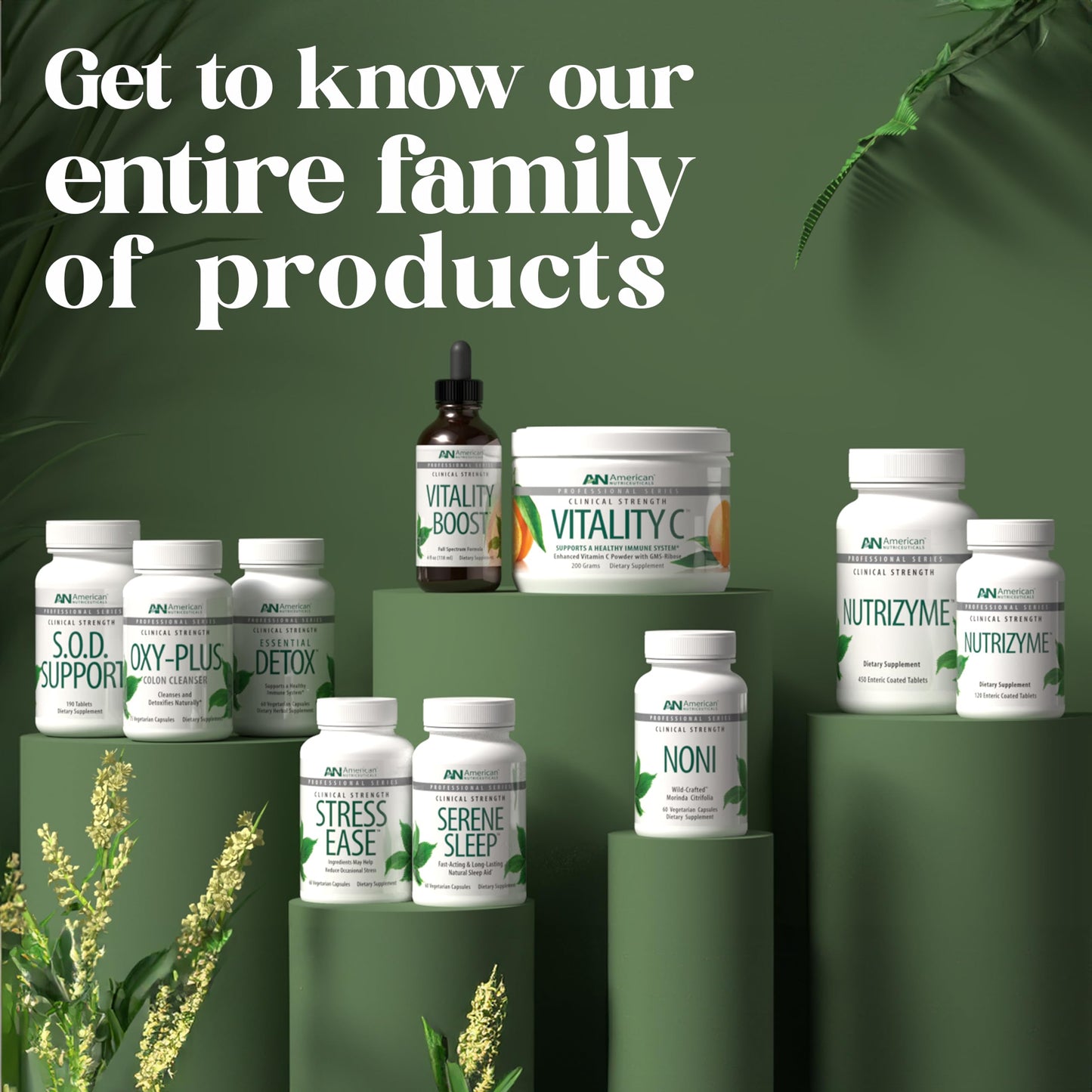 Vitamina C polvo fácil de digerir American Nutriceuticals
