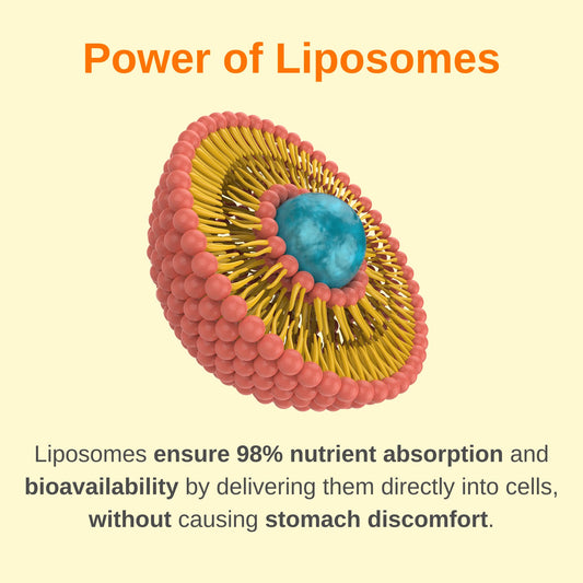 Vitaminally tecnología liposomal