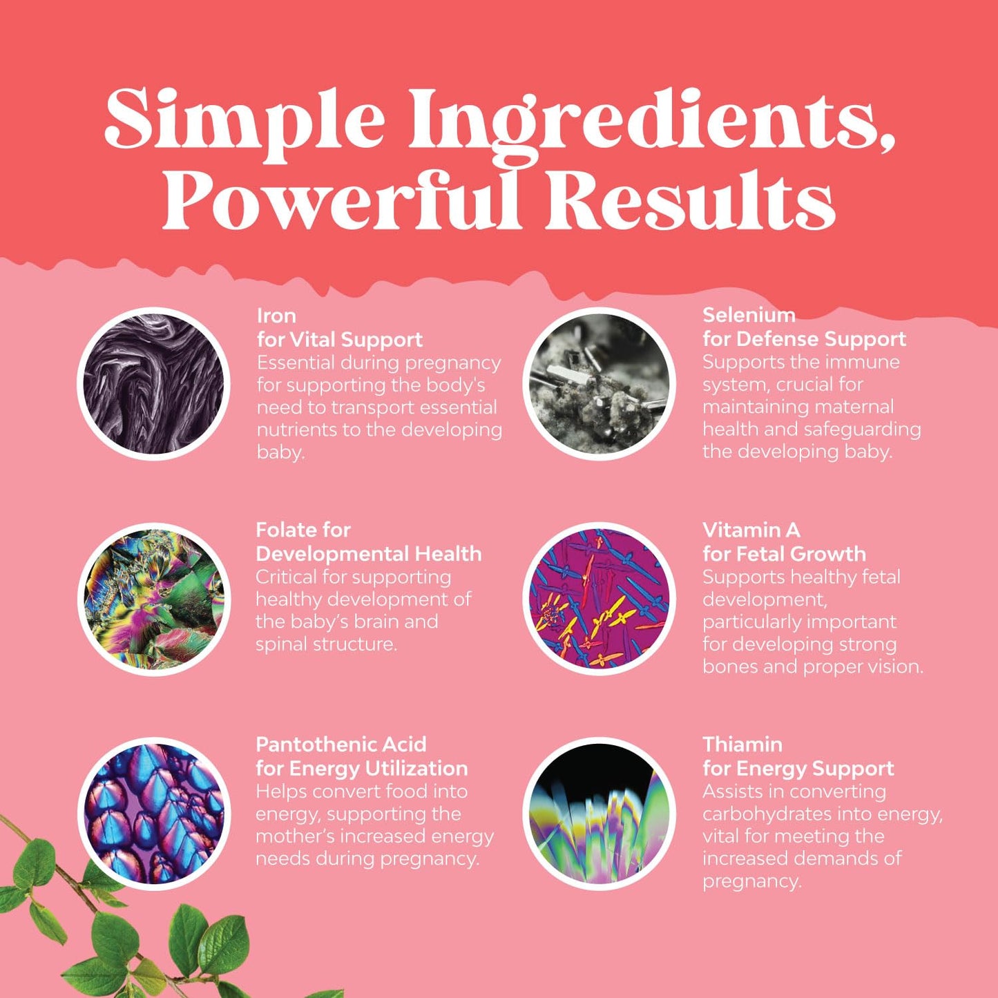 Vitaminas prenatales veganas fórmula con hierro ácido fólico Natures Craft