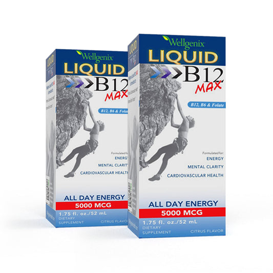 Wellgenix b12 max líquido paquete de 2 botellas