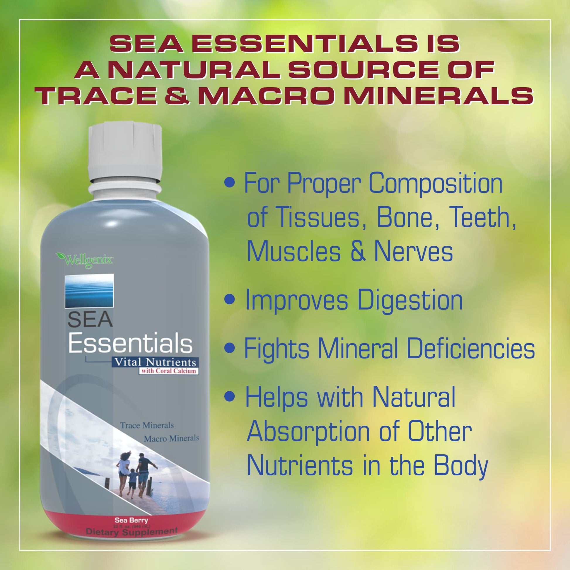Etiqueta de Wellgenix Sea Essentials con ingredientes vegetación marina