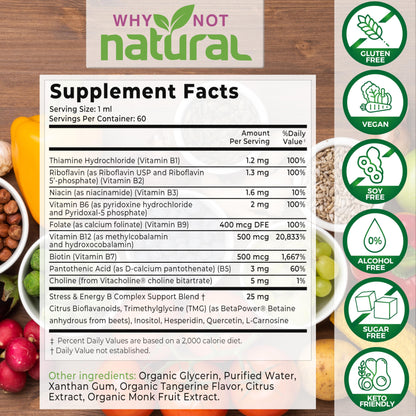 Why Not Natural mejor suplemento hierro líquido y complejo B