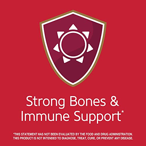 Version 1.0.0 Etiqueta trasera de tabletas D3 1000 UI