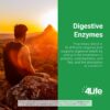 Frasco y caja de 4Life Digestive Enzymes