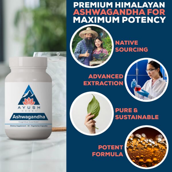 60 caplets vegetarianos para mejorar concentración y calma mental