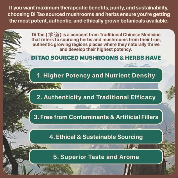 8 Guardians Suplemento de Hongos de cerca