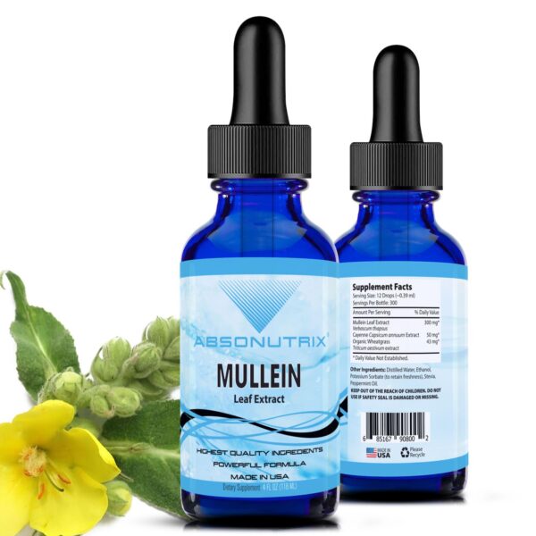 Version 1.0.0 Absonutrix gordolobo 300 mg líquido botella 4 oz absorbción rápida