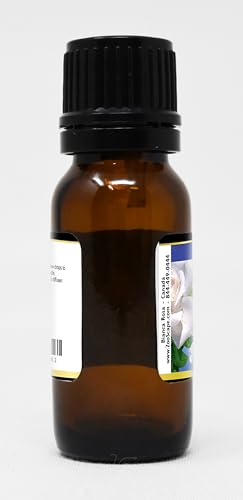 Version 1.0.0 Aceite esencial canela líquida para aromaterapia puro