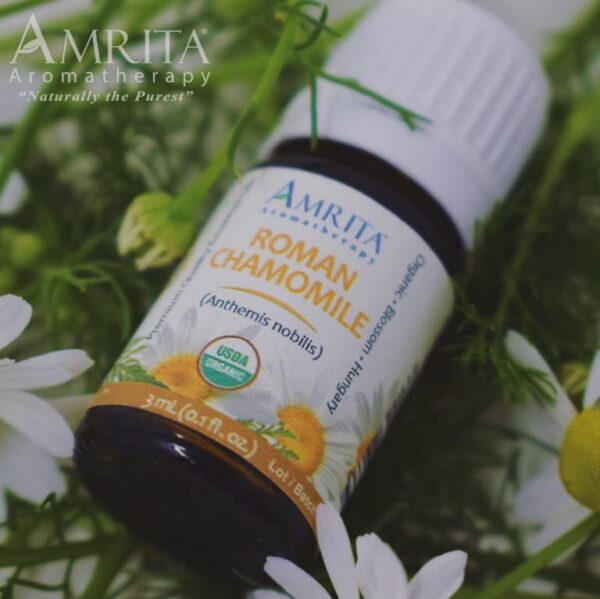 Version 1.0.0 Aceite Esencial Manzanilla Romana para aromaterapia premium