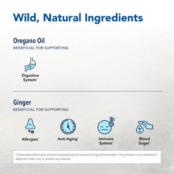 Version 1.0.0 Aceite de jengibre natural North American Herb & Spice digestión