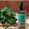 Version 1.0.0 Aceite líquido orégano TALYA salud digestiva