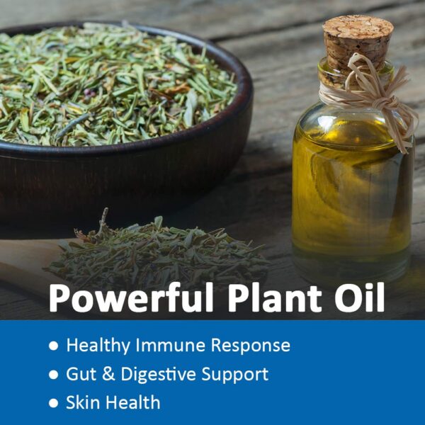 Aceite natural de orégano para salud inmune y flora intestinal