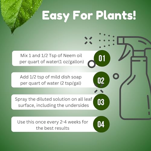 Aceite natural de neem prensado en frío para cosmética y horticultura