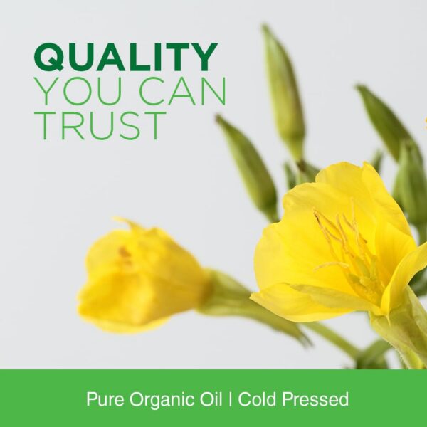 Aceite de onagra Nature's Life calidad vegetariana